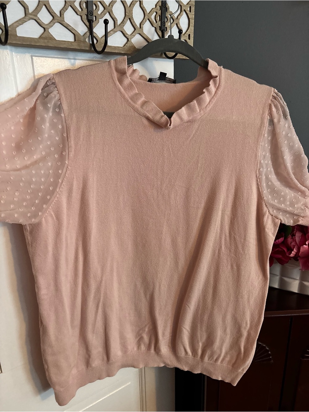 Adrianna Papell Pale Pink Ruffle Neck Dot Mesh Sleeve Women’s Top